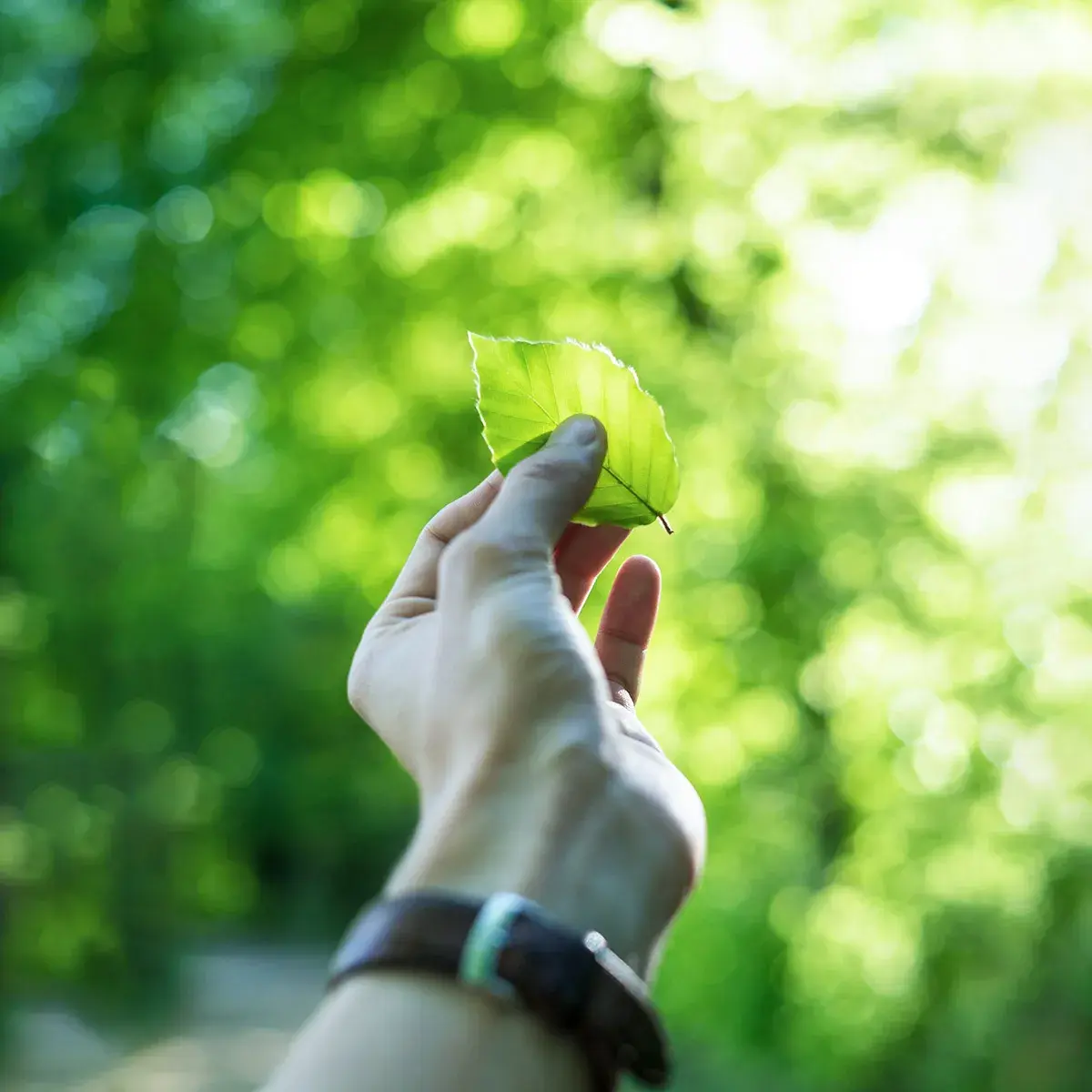 الإستشارات